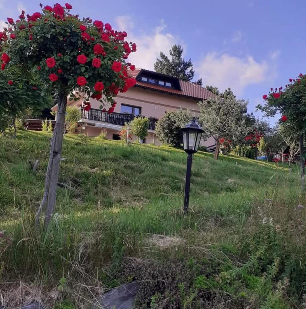 Apartment Panorama Zreče المظهر الخارجي الصورة