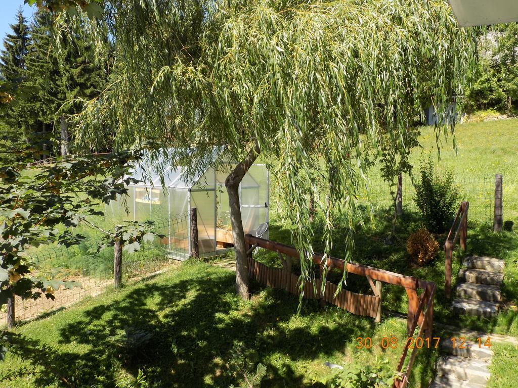 Apartment Panorama Zreče المظهر الخارجي الصورة